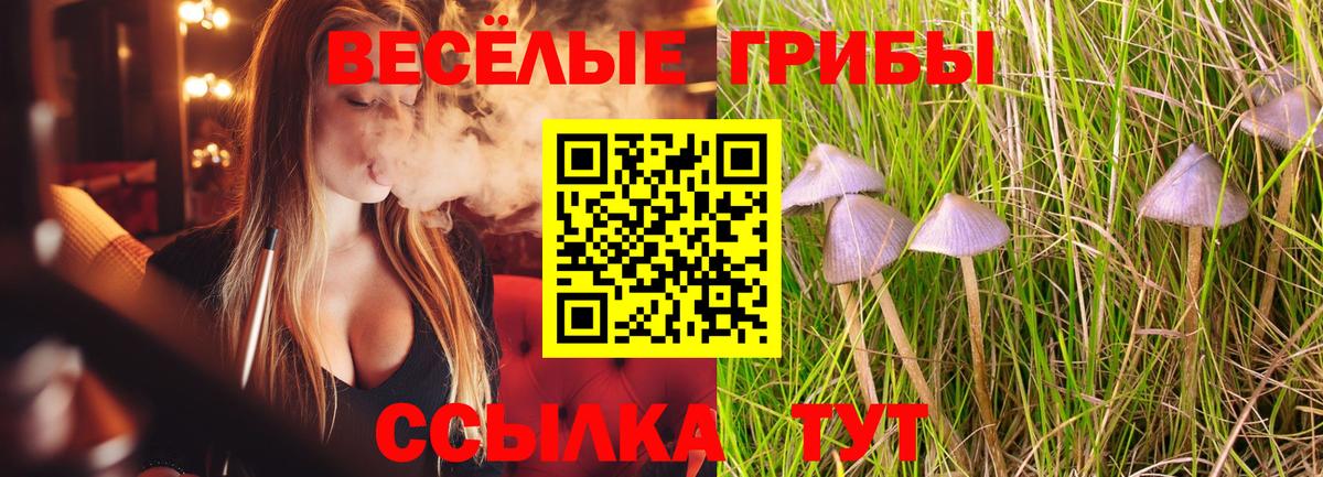 МЕФ Дедовск